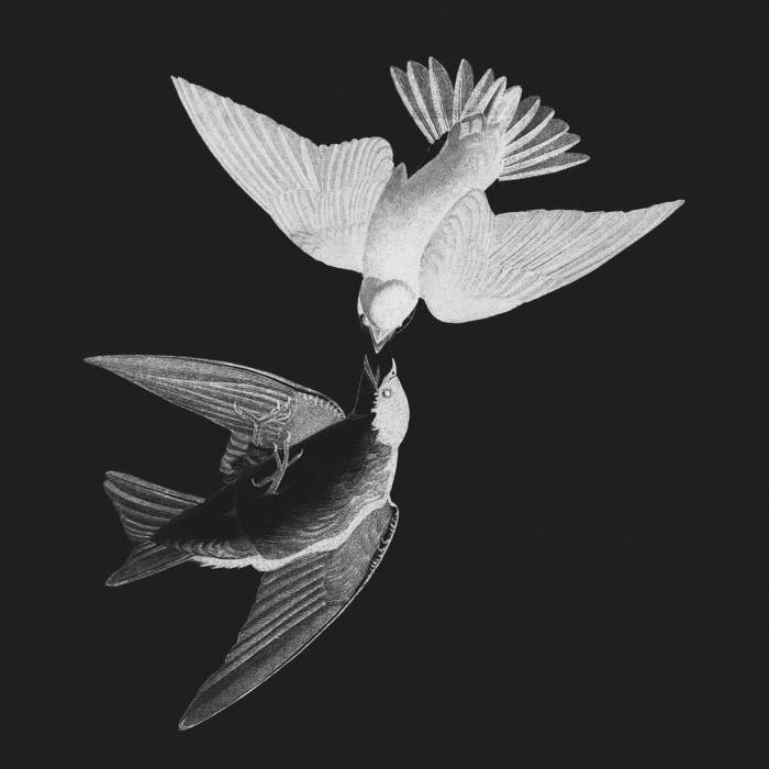 Hibris: desmesura y arrogancia