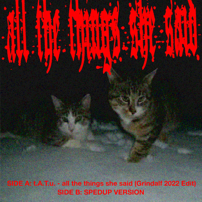 All The Things She Said (2K26)