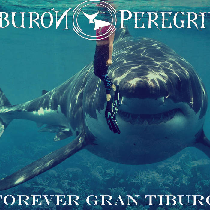Forever gran tiburón