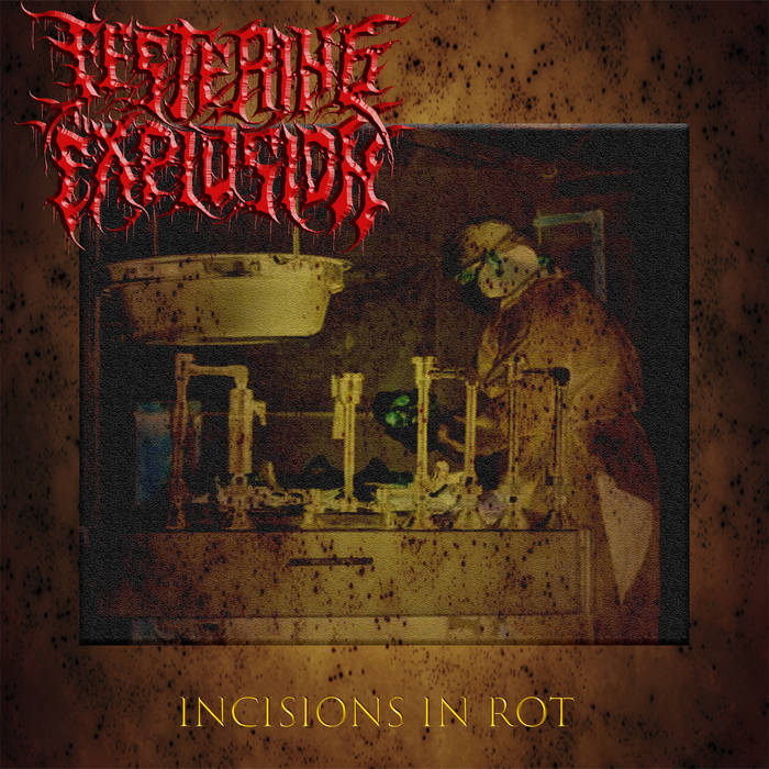 Incisions In Rot