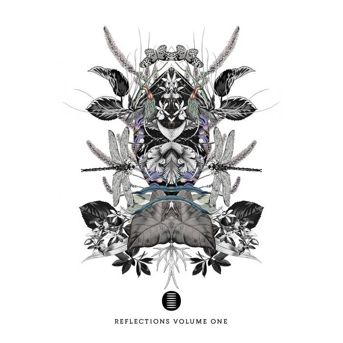 Reflections Volume One