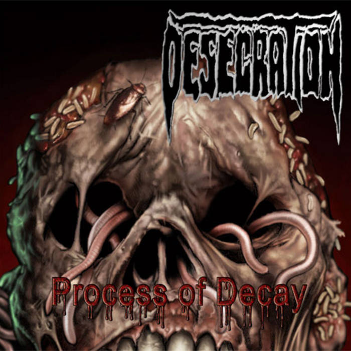 Process of Decay CD / Vinyl