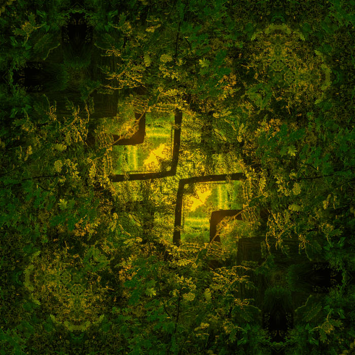 Times Change And So Must We