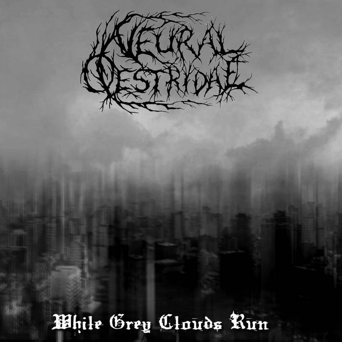 While Grey Clouds Run