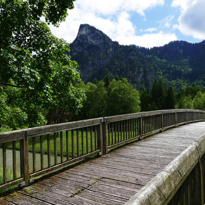 Media-Nepo Breakdown