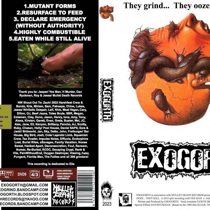 Split w/ YES MAN [2023]