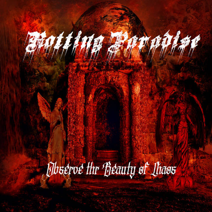 Observe the Beauty of Chaos