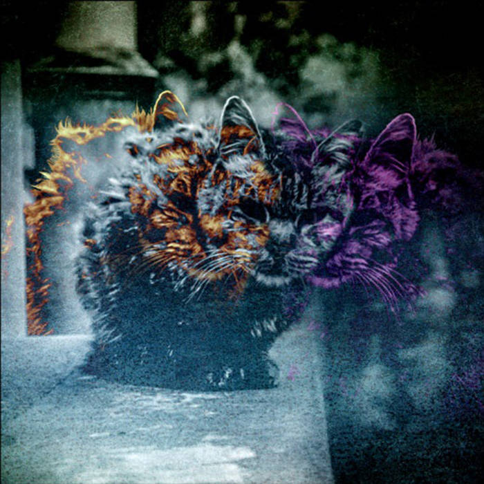 Uroboros / Asilo / Desidia - split