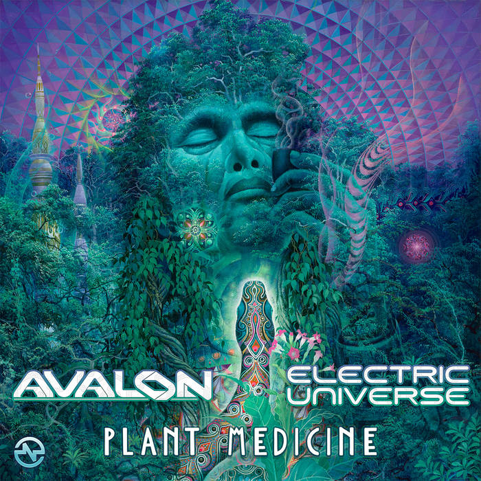 Plant Medicine