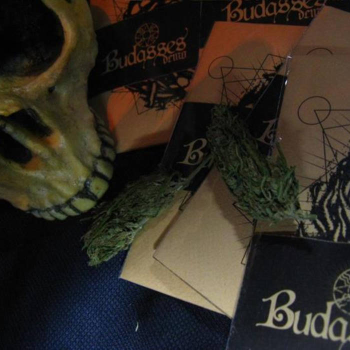 Demo - Total Aversión (2012)