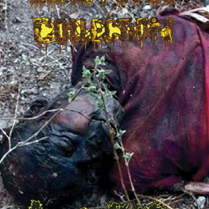 Split tape com DEAD FETUS COLLECTION