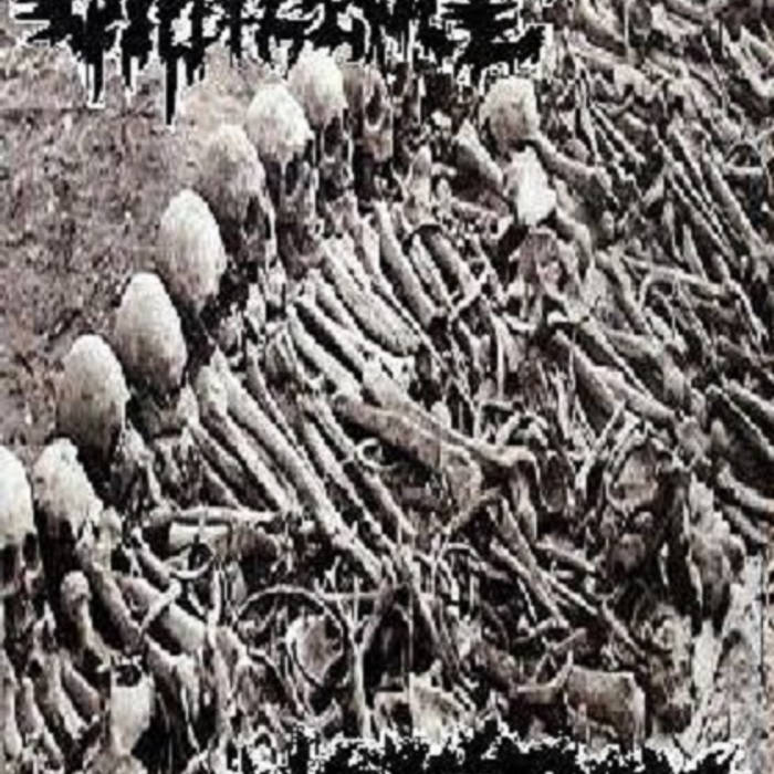 Split Tape w/ Cistemized Violence