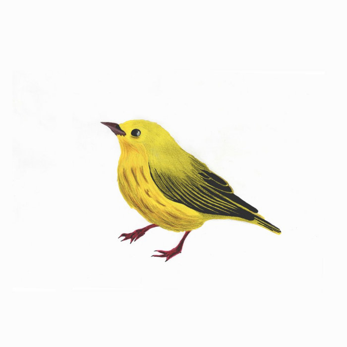 megalomania is our art