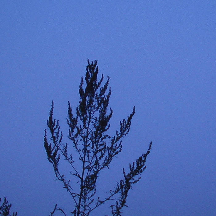 Exploding head delay device experimentation