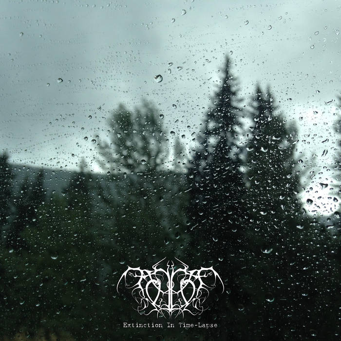 Extinction In Time-lapse