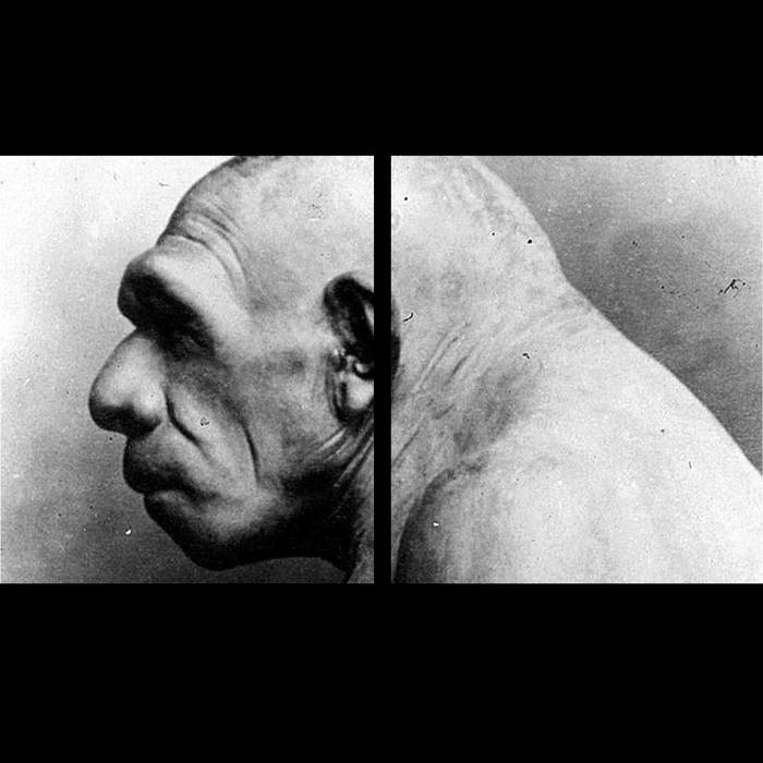 Shao Fue/Yin & Yang Fue