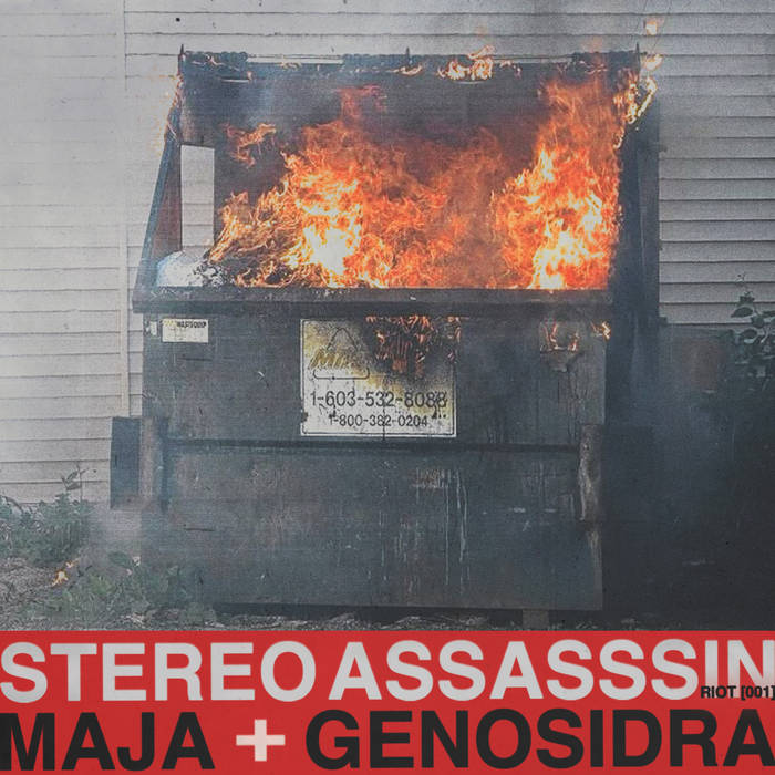 STEREO ASSASSSIN