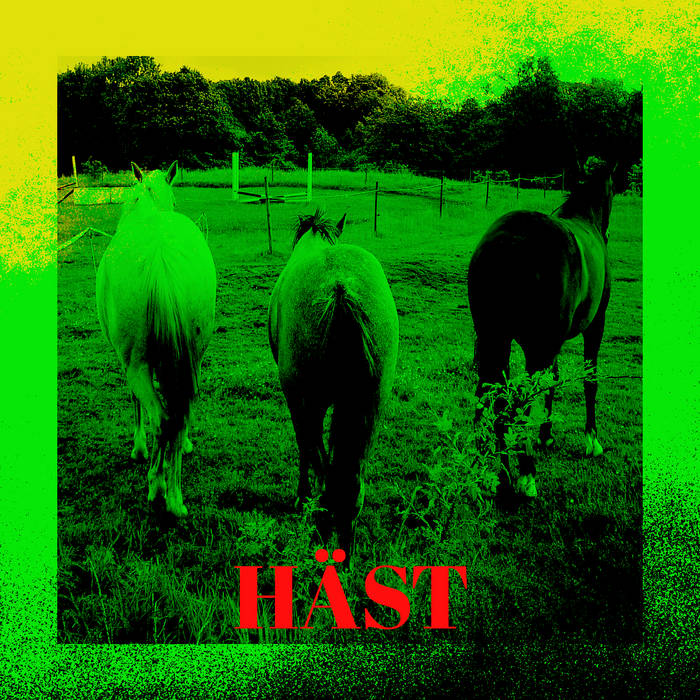 HÄST