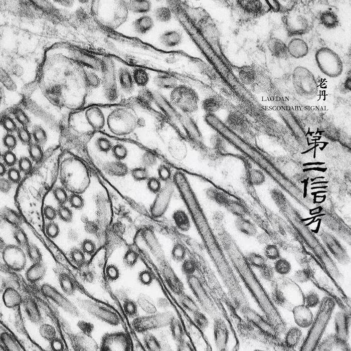 第二信號 Secondary Signal