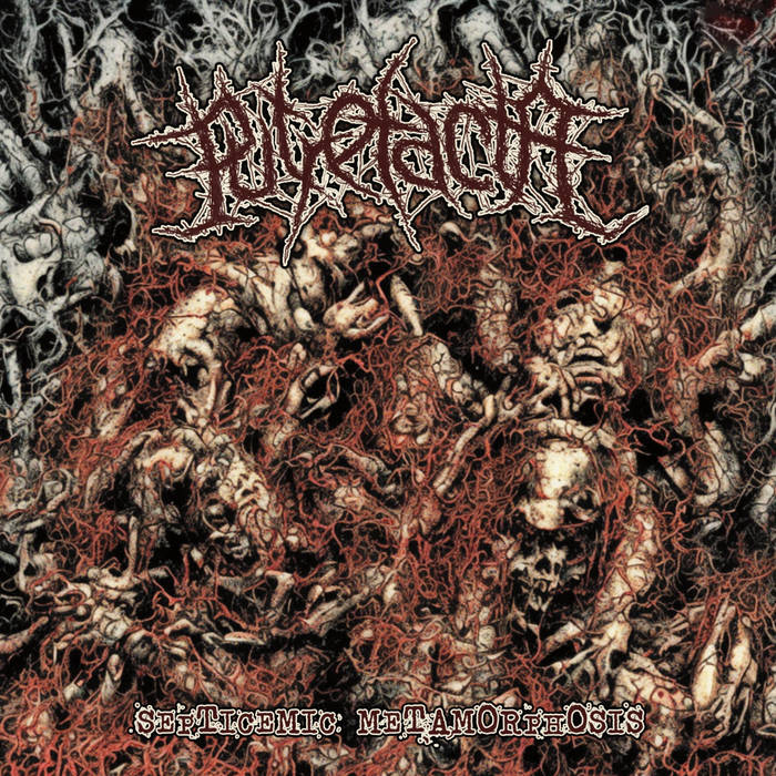 Septicemic Metamorphosis