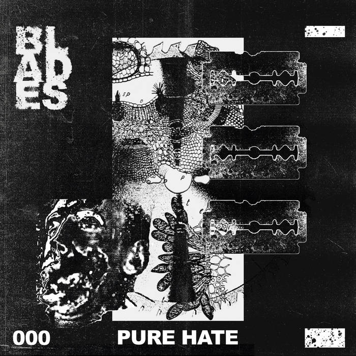 PURE HATE - BLADES VA
