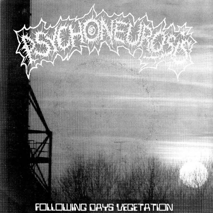 Following Days Vegetation - split 7''EP / 2000