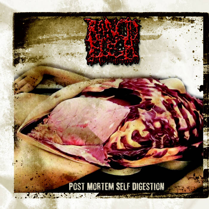 Post Mortem Self Digestion