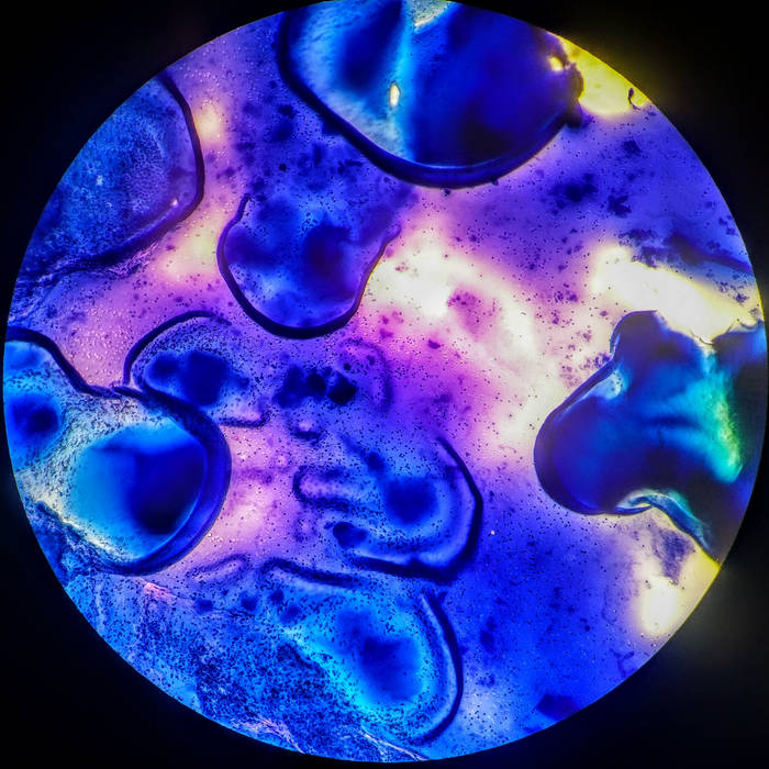 Gravitational Forces LP