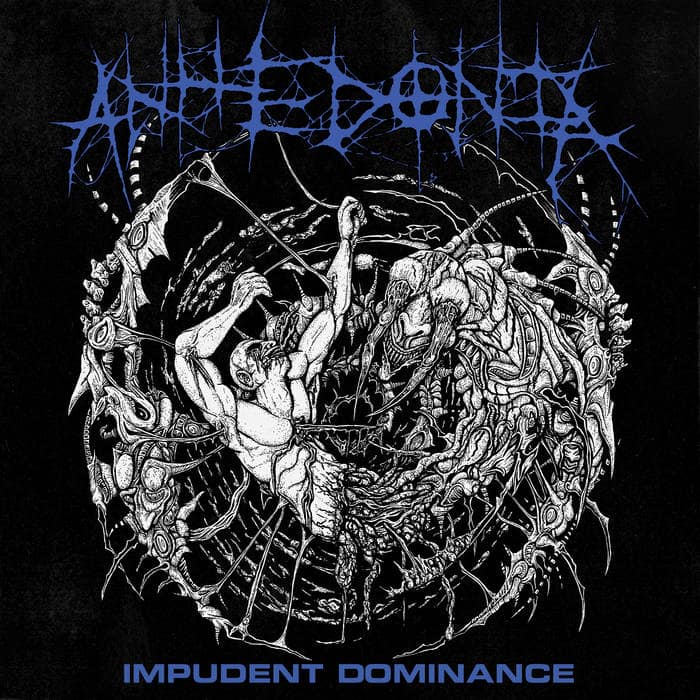 Anhedonia