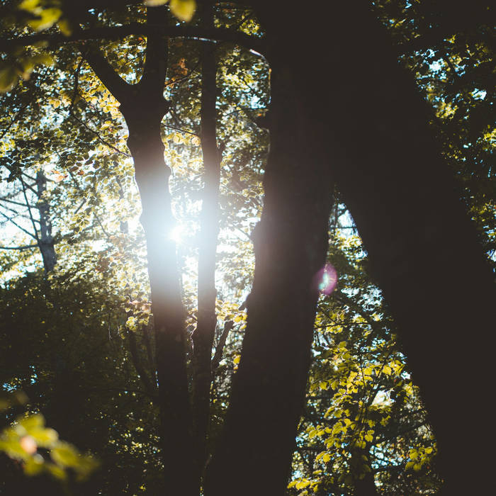 Lost From Sight and Memory