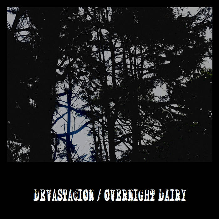 Devastación / Overnight Dairy