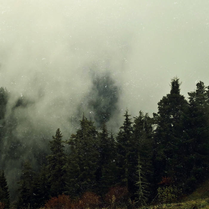 On the Trail of the Beast