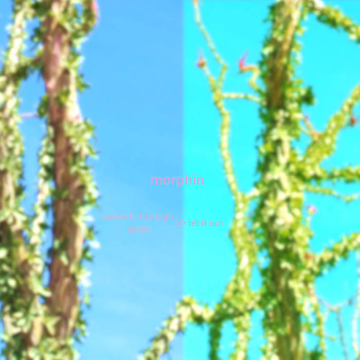 sweat in the high grass >> let it out (continuous version)