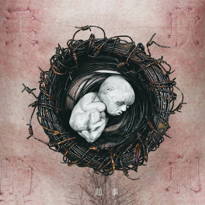 柔軟的刺 Soft Thorn