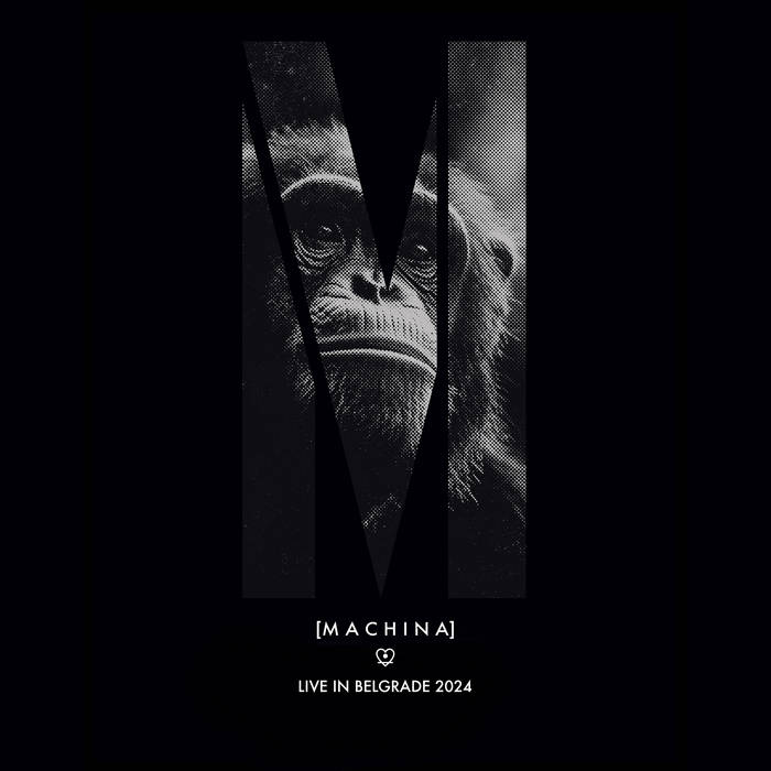 Live in Belgrade 2024