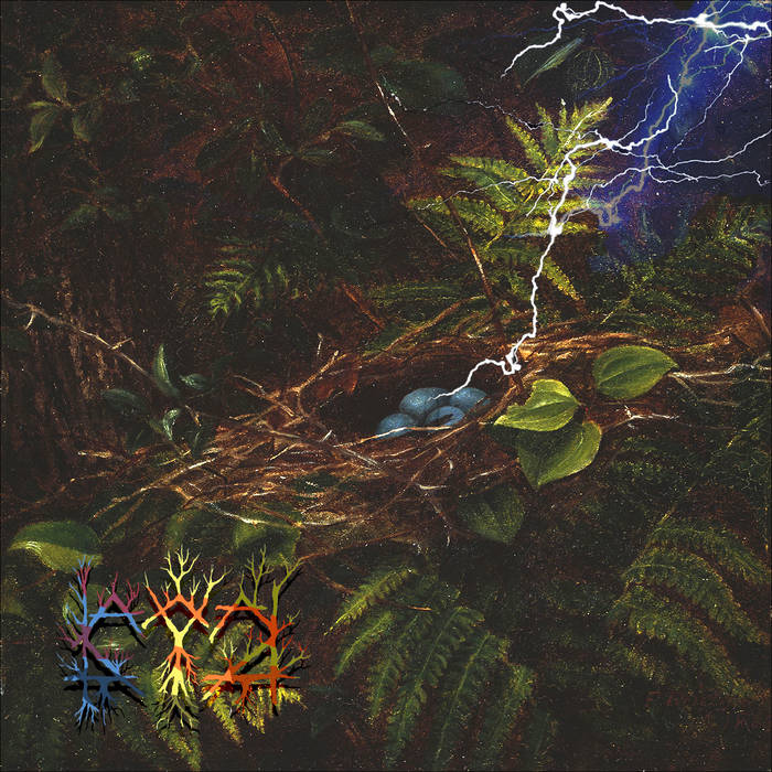 Só Quem Viu o Relâmpago à Sua Direita Sabe