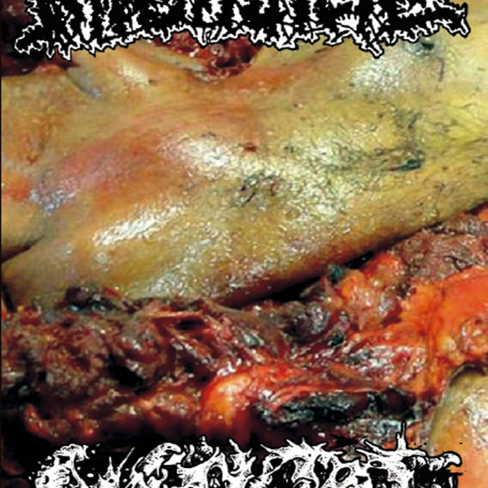 Split tape com INSEKTOJ