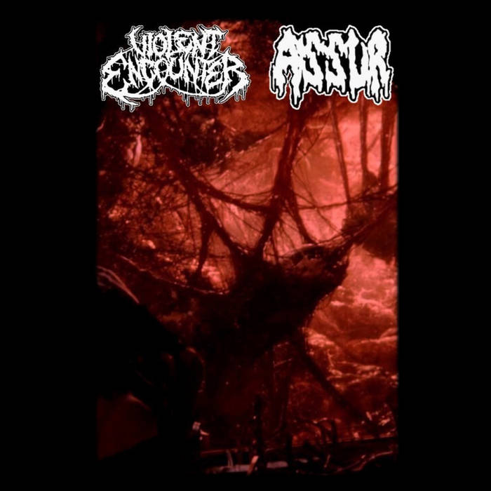 split w/ Violent Encounter