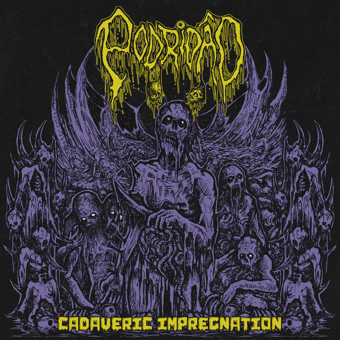 Cadaveric Impregnation
