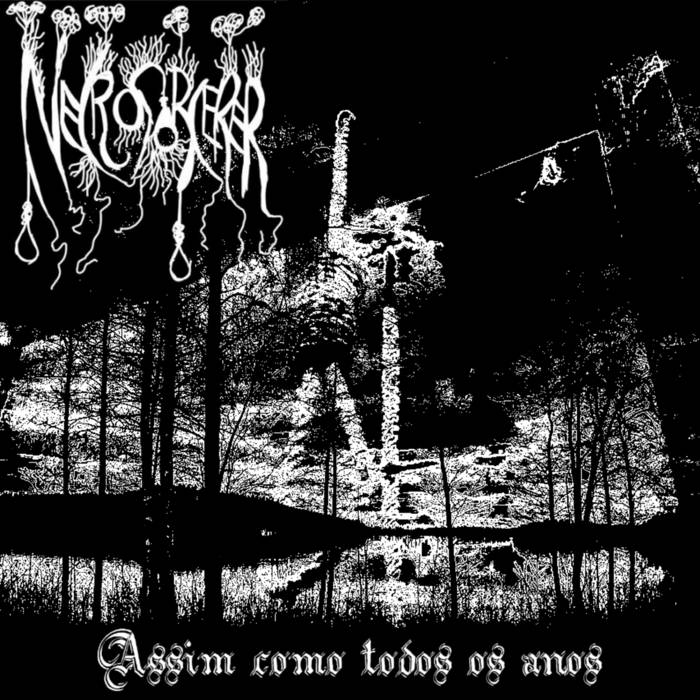 Assim como todos os anos