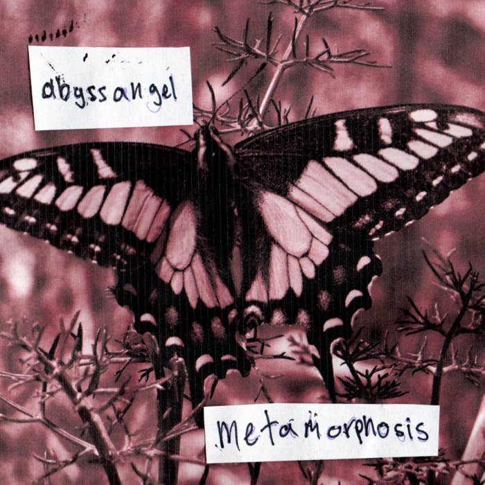 metamorphosis