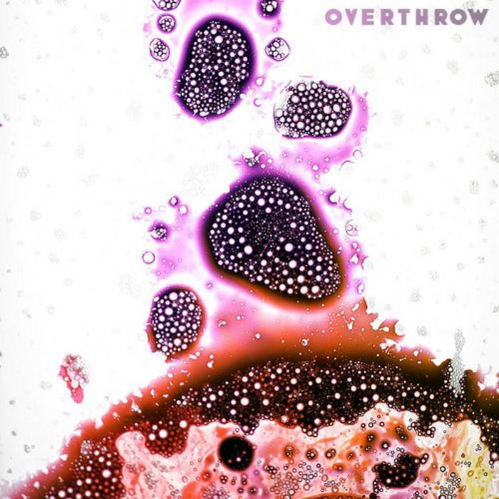 A Ghost In The Machine