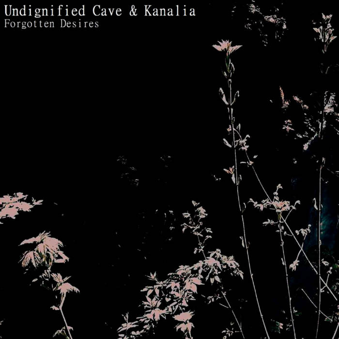 Forgotten Desires (split with Kanalia)