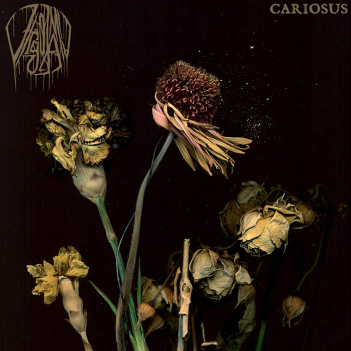 Cariosus