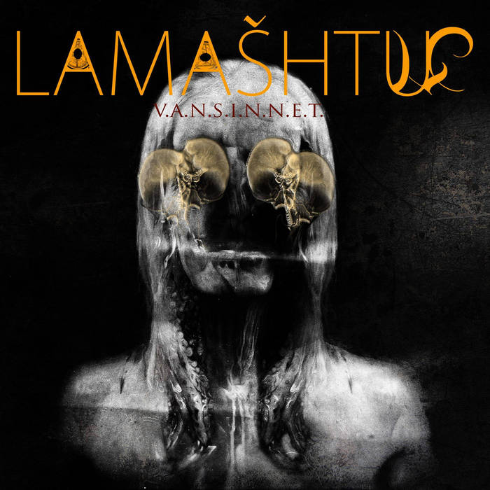 V.A.N.S.I.N.N.E.T. (II)