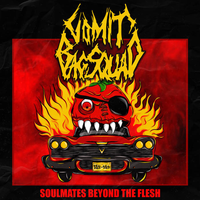 Soulmates Beyond the Flesh