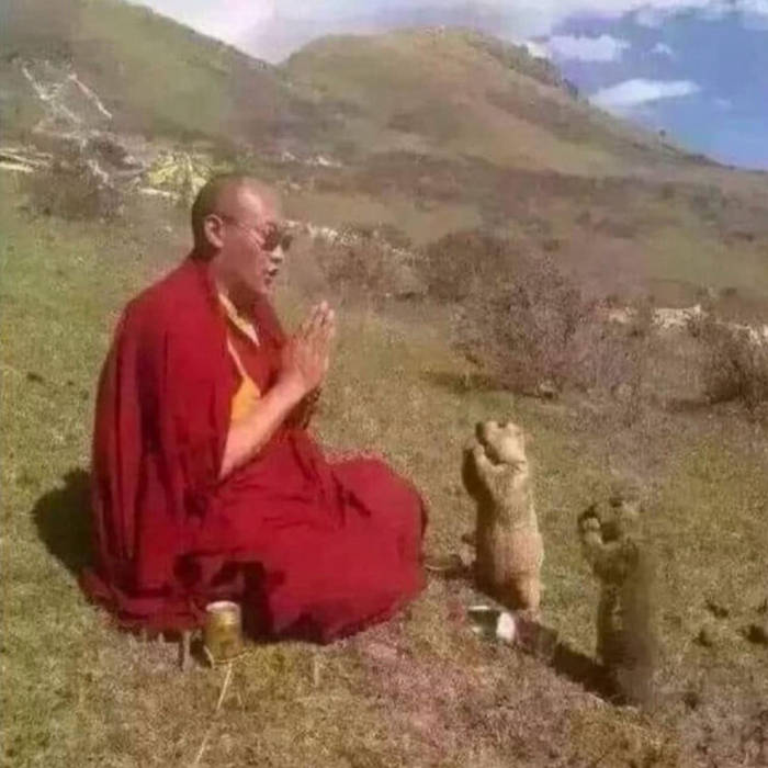 Throbbing Fembot Karma Vol. (Boom#)