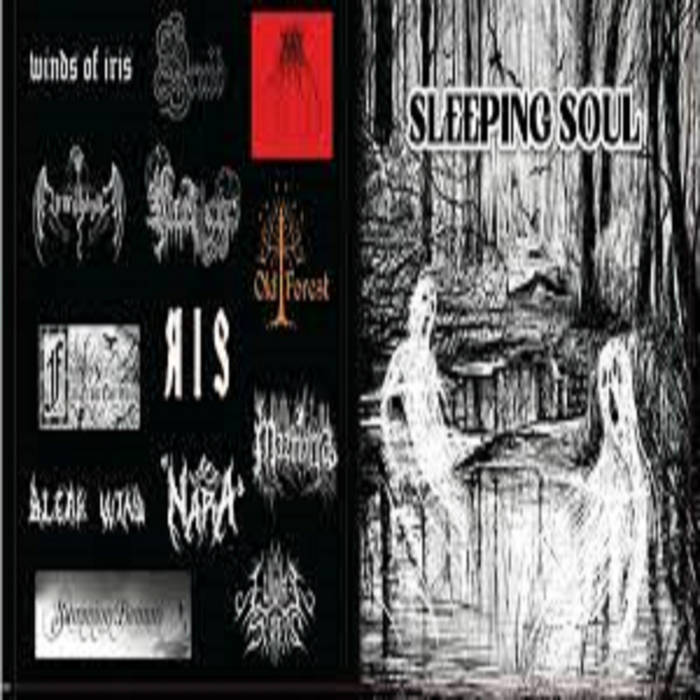 6 Coletânea / sleeping soul