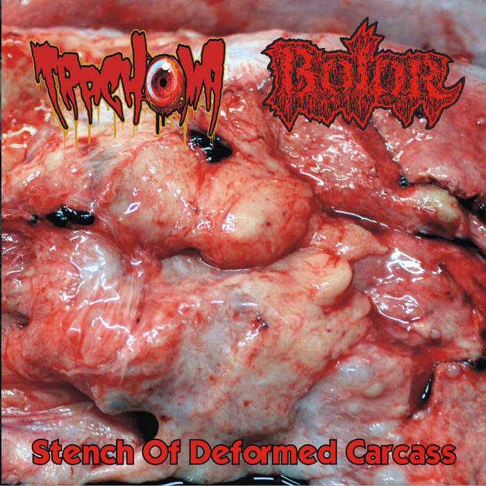 Stench Of Deformed Carcass (tracks from split with Bolor)