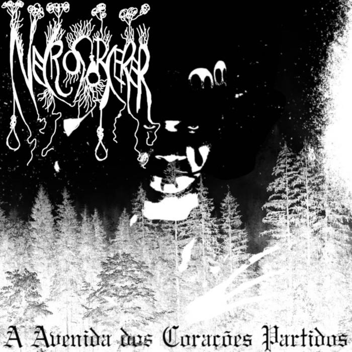 A Avenida dos Corações Partidos